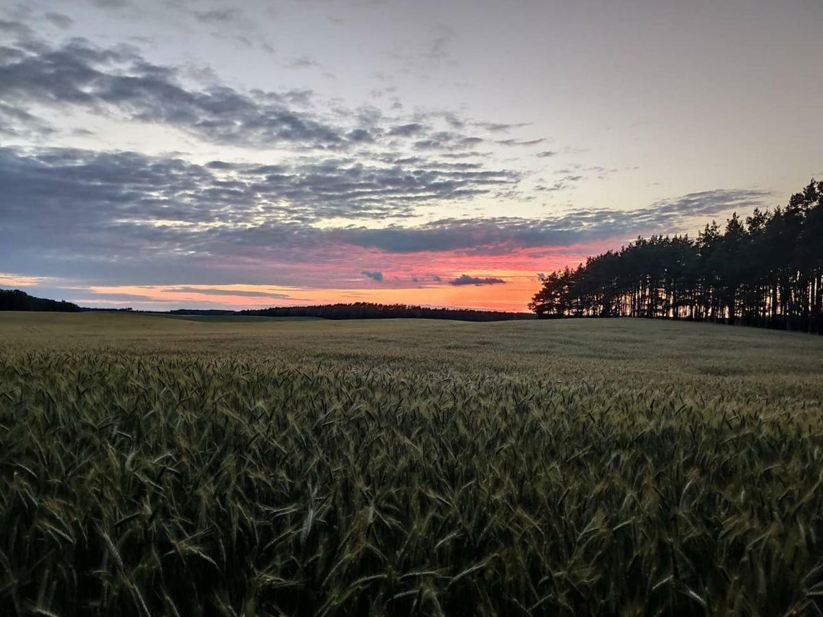 Stawy U Sikory - Dom Rybak - Agroturystyka I Lowisko Nowa Wies  Exteriér fotografie