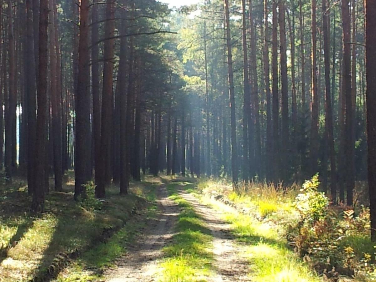 Stawy U Sikory - Dom Rybak - Agroturystyka I Lowisko Nowa Wies  Exteriér fotografie